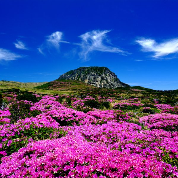 Hallasan volcano on Jeju Island, part of the busiest flight routes in the world